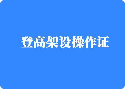 男人大黑肉棒屌女人逼视频免费看登高架设操作证